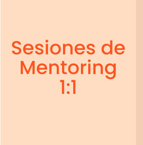 Sesiones De Mentoring Individual 1:1